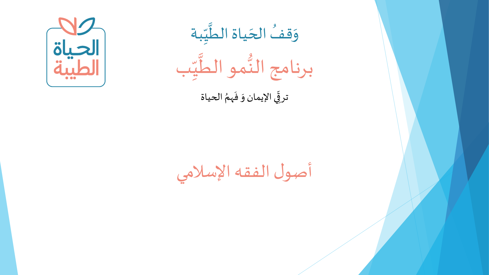 أصول الفقه الإسلامي